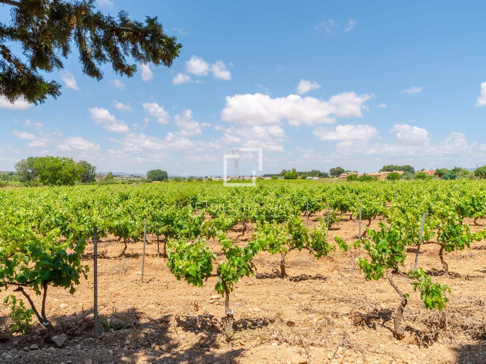 10 bedroom Finca/Country House for sale in Requena with pool garage - € 1,700,000 (Ref: 9928470)