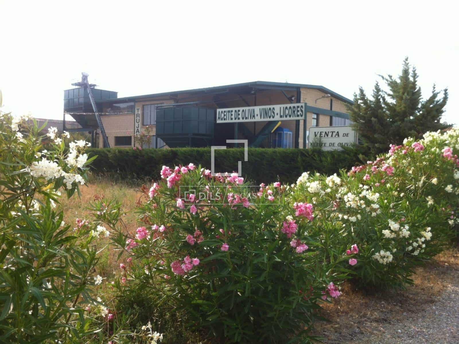 Comercial para venda em Oyon / Oion - 4 200 000 € (Ref: 9932282)