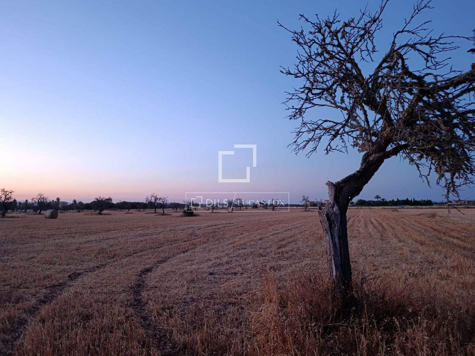 Building Plot for sale in Sa Rapita / La Rapita - € 560,000 (Ref: 9958818)