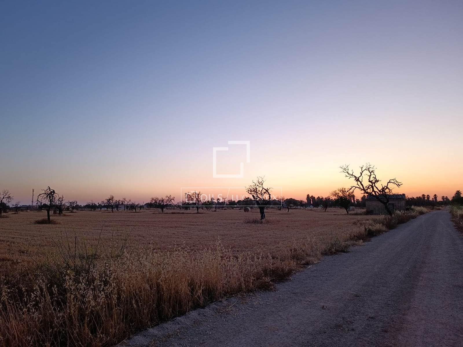 Building Plot for sale in Sa Rapita / La Rapita - € 560,000 (Ref: 9958818)
