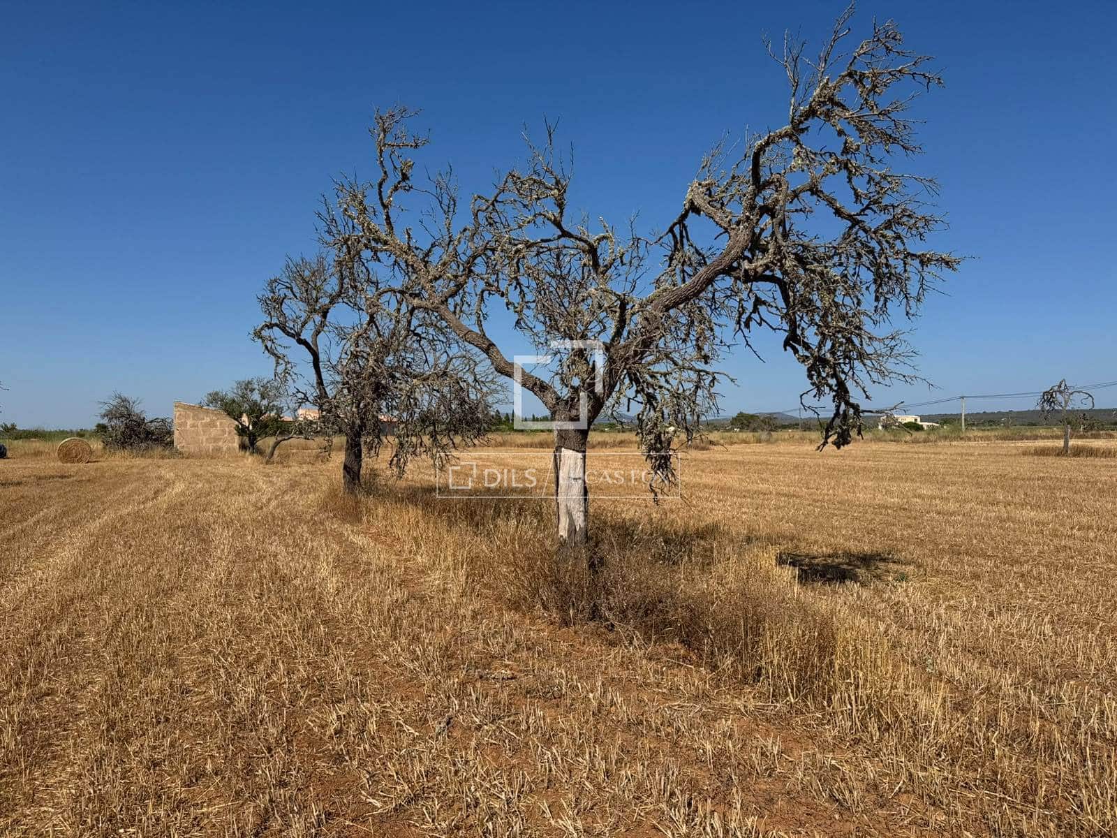 Building Plot for sale in Sa Rapita / La Rapita - € 560,000 (Ref: 9958818)
