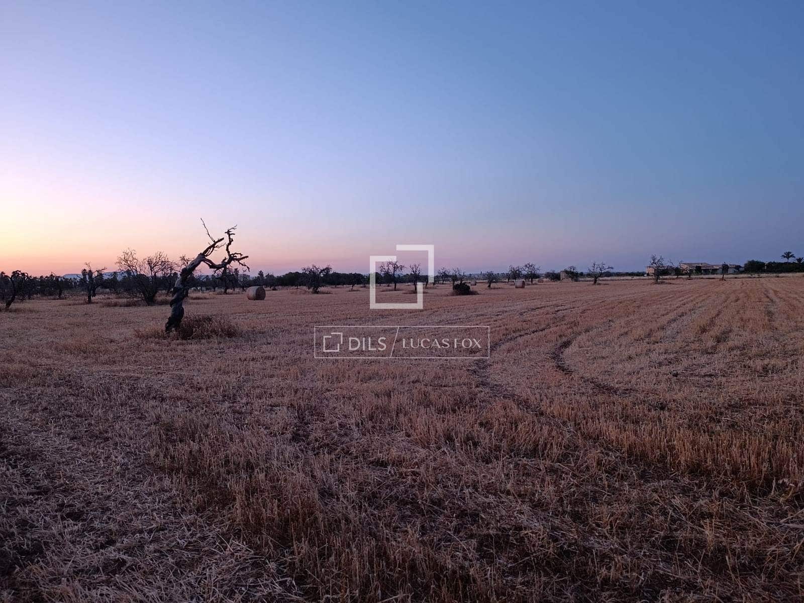 Building Plot for sale in Sa Rapita / La Rapita - € 560,000 (Ref: 9958818)