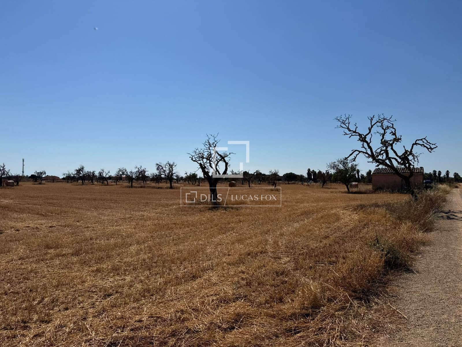Building Plot for sale in Sa Rapita / La Rapita - € 560,000 (Ref: 9958818)