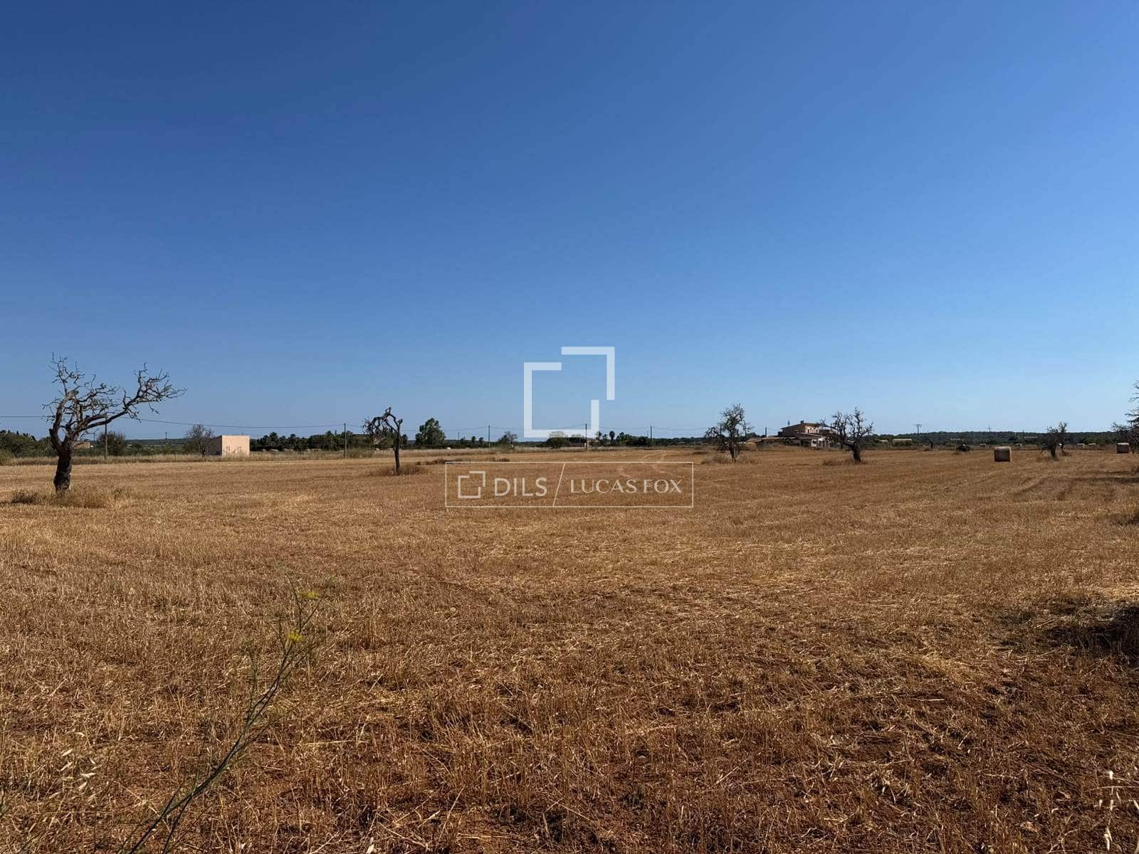 Building Plot for sale in Sa Rapita / La Rapita - € 560,000 (Ref: 9958818)