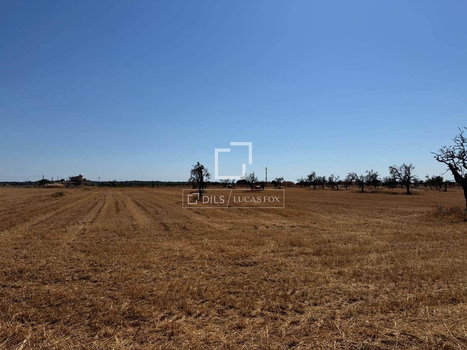 Building Plot for sale in Sa Rapita / La Rapita - € 560,000 (Ref: 9958818)