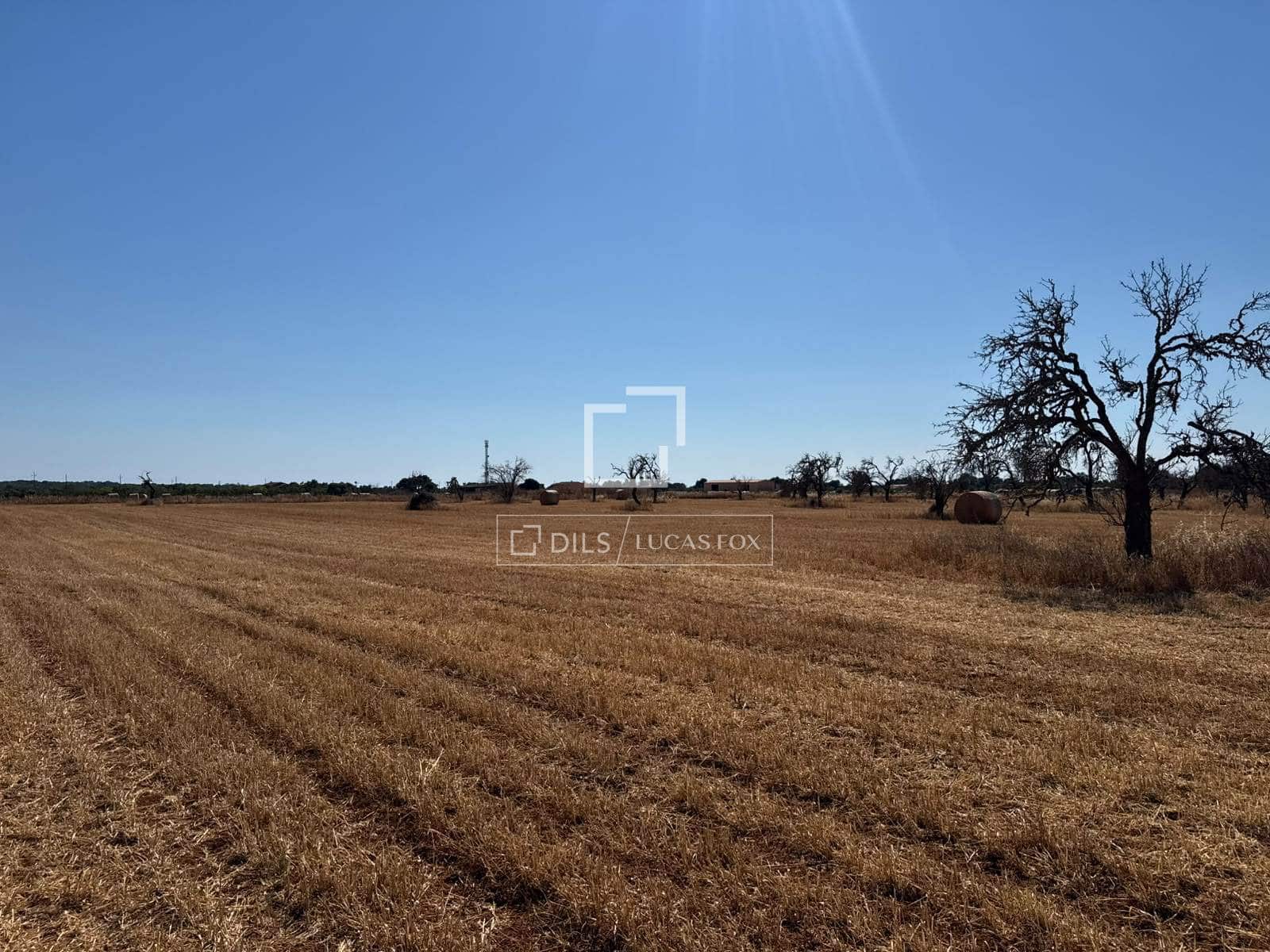 Building Plot for sale in Sa Rapita / La Rapita - € 560,000 (Ref: 9958818)