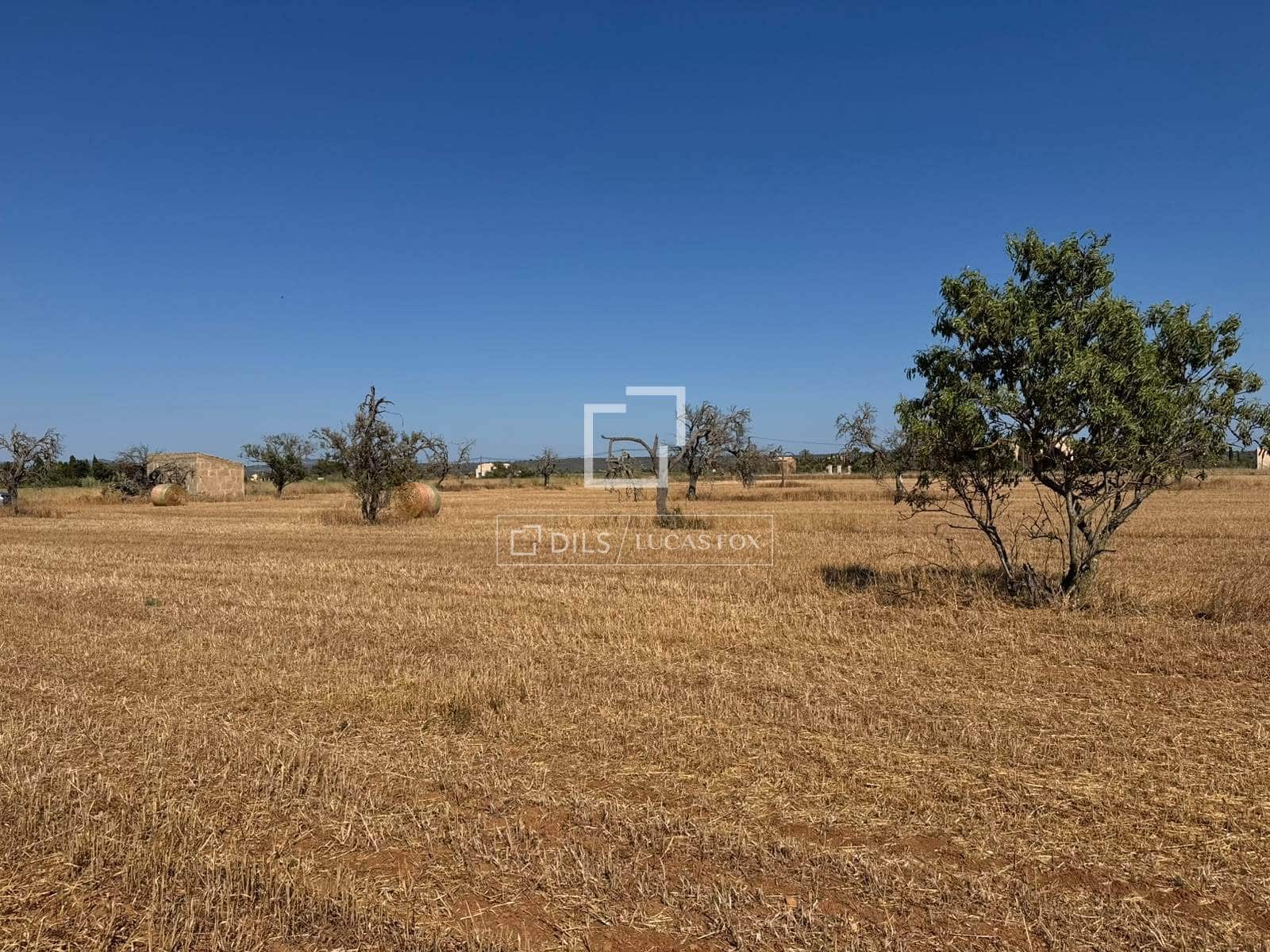 Building Plot for sale in Sa Rapita / La Rapita - € 560,000 (Ref: 9958818)