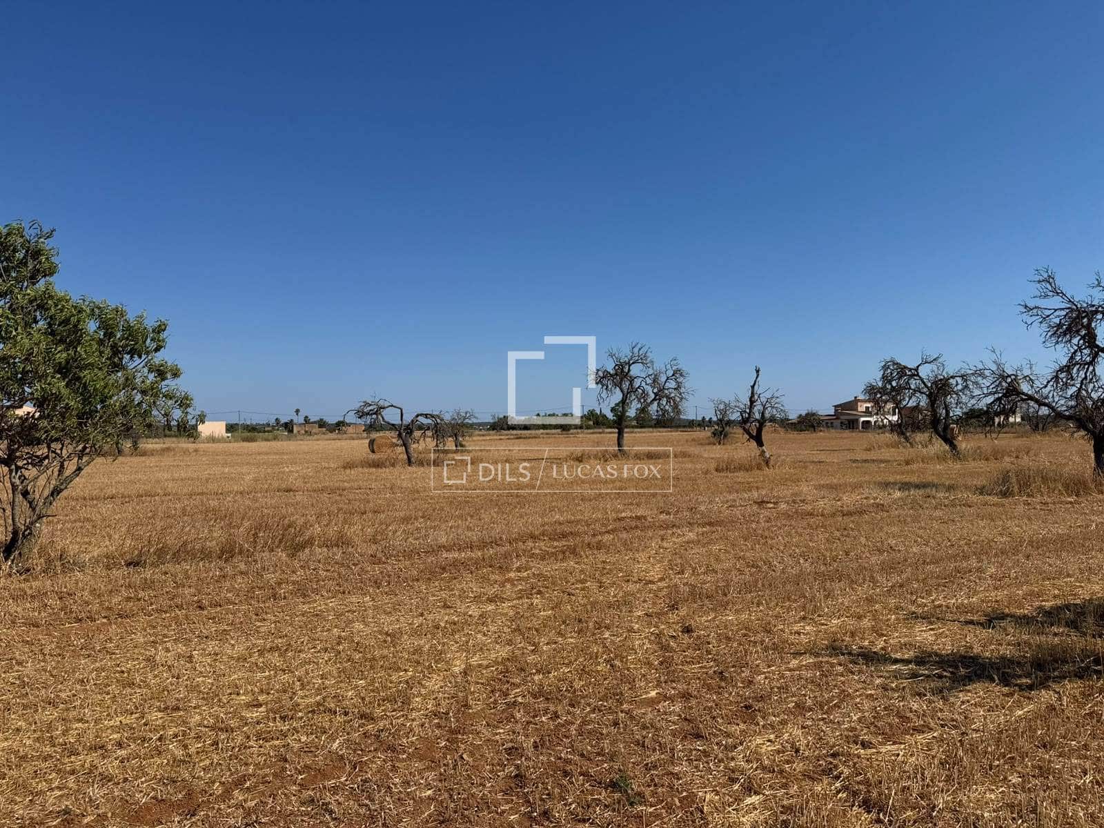 Building Plot for sale in Sa Rapita / La Rapita - € 560,000 (Ref: 9958818)