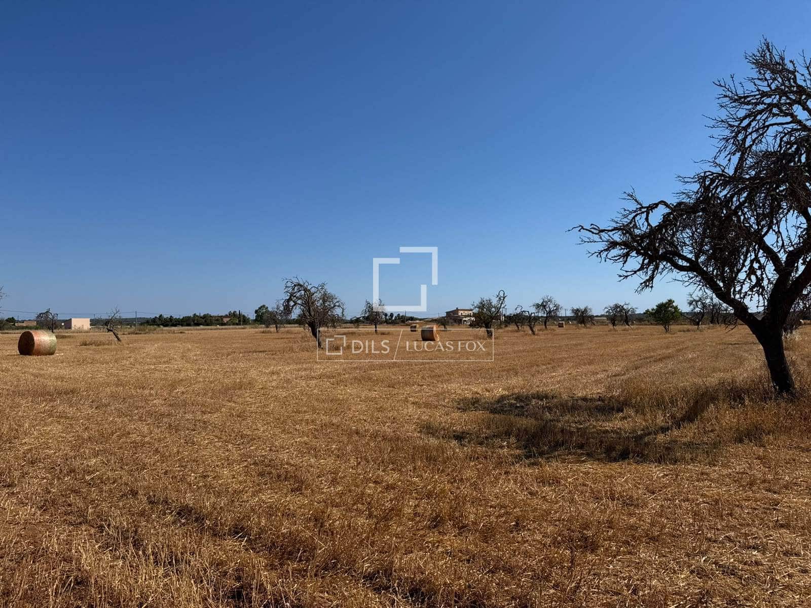 Building Plot for sale in Sa Rapita / La Rapita - € 560,000 (Ref: 9958818)