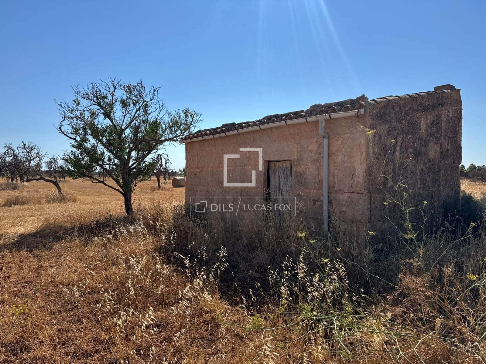 Building Plot for sale in Sa Rapita / La Rapita - € 560,000 (Ref: 9958818)
