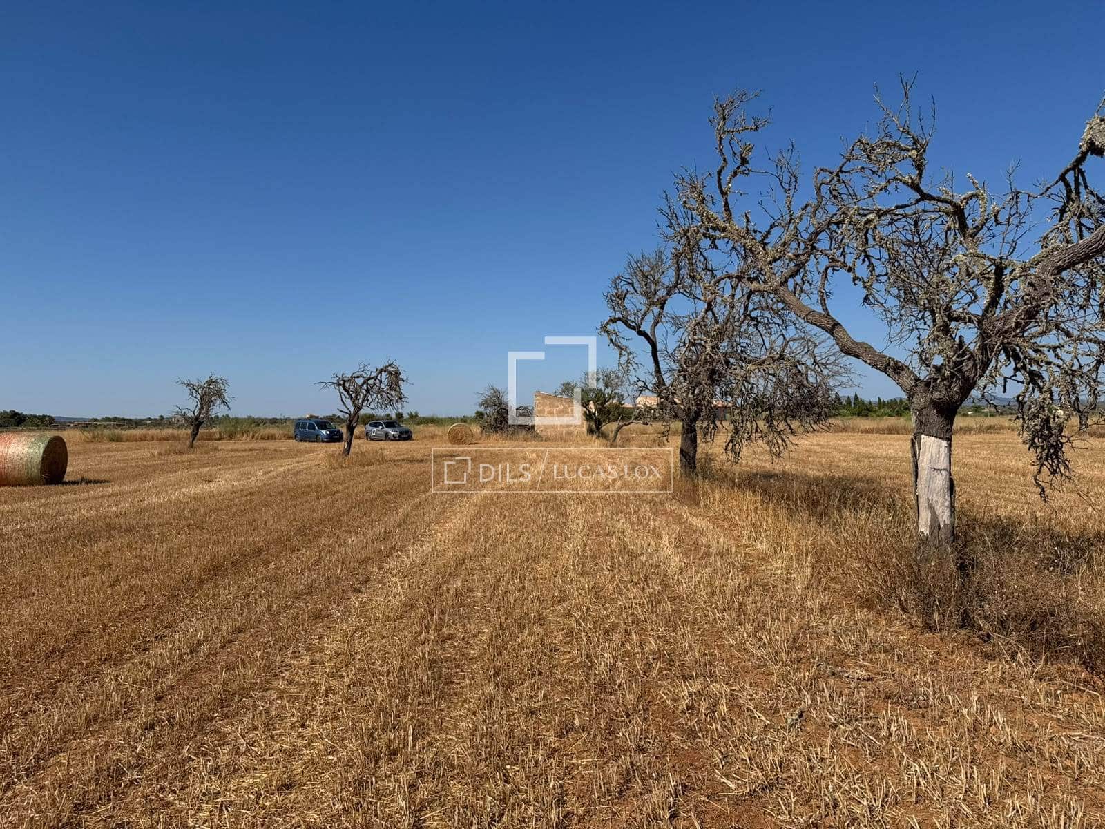Building Plot for sale in Sa Rapita / La Rapita - € 560,000 (Ref: 9958818)