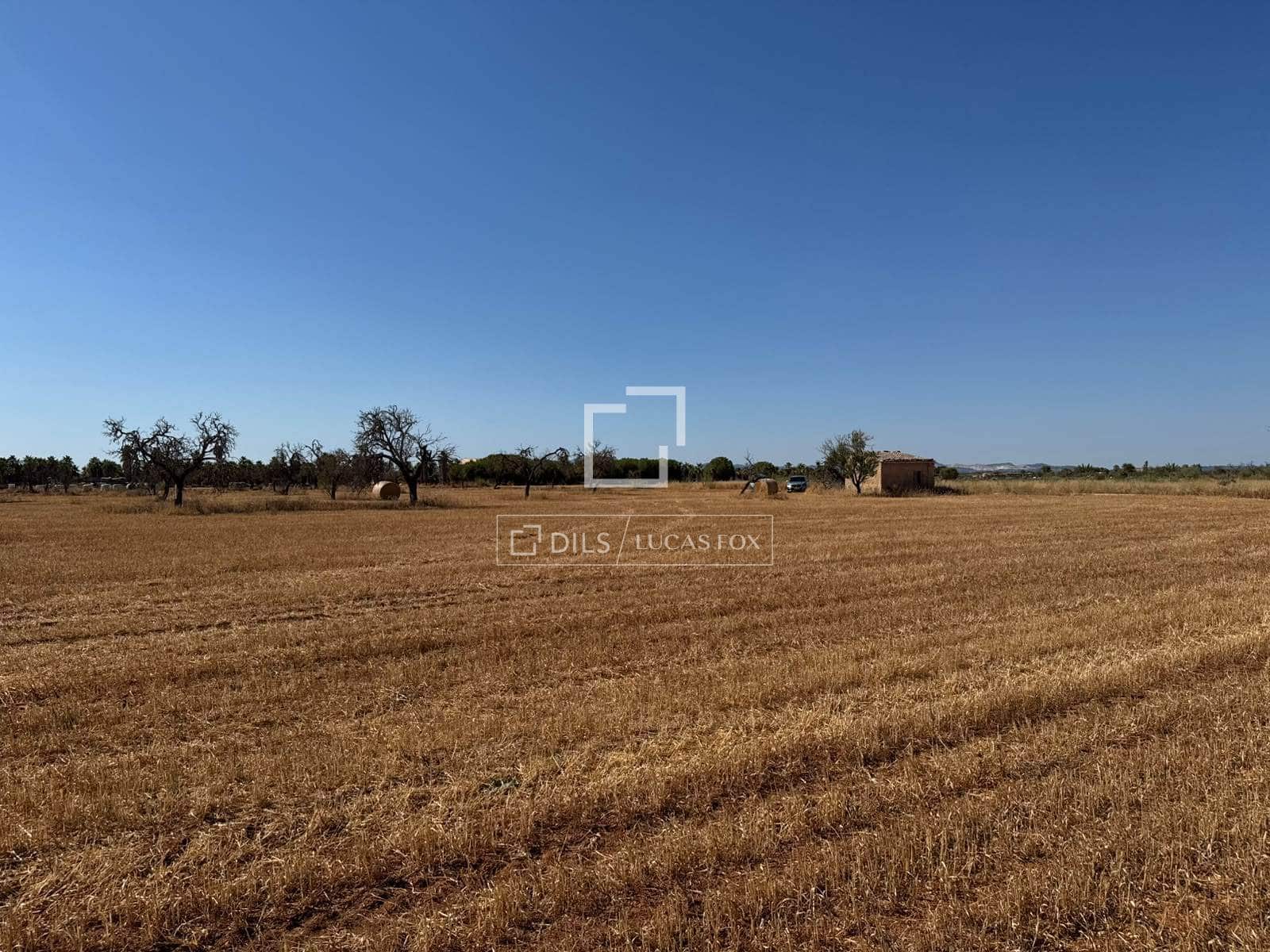 Building Plot for sale in Sa Rapita / La Rapita - € 560,000 (Ref: 9958818)