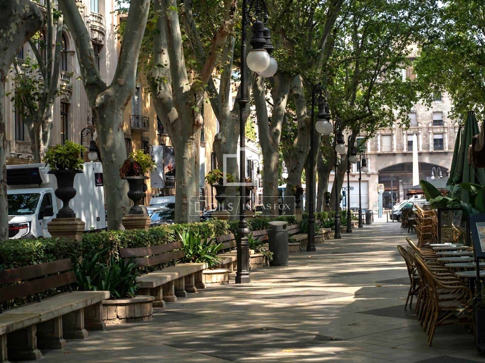 3 bedroom Apartment for rent in Palma de Mallorca - € 3,600 (Ref: 9965669)