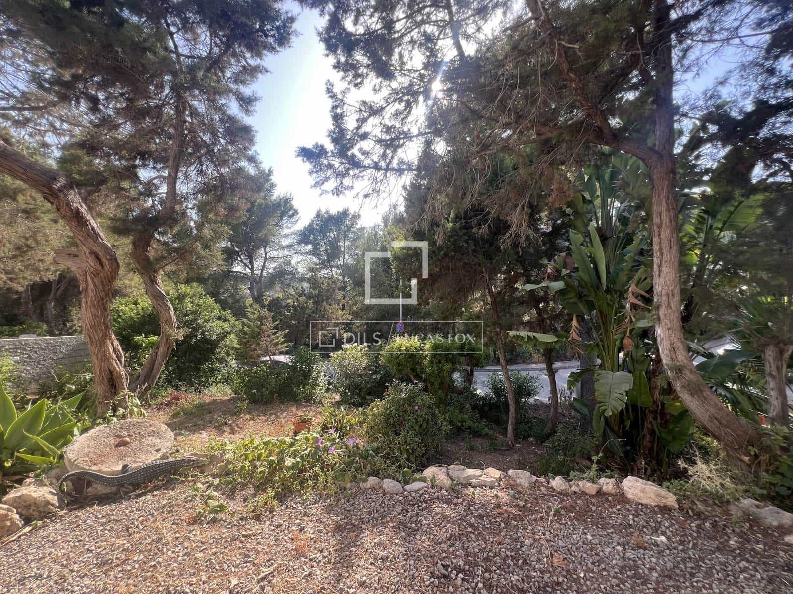 2 Zimmer Finca/Landgut zu verkaufen in Portinax - 1.500.000 € (Ref: 9991800)