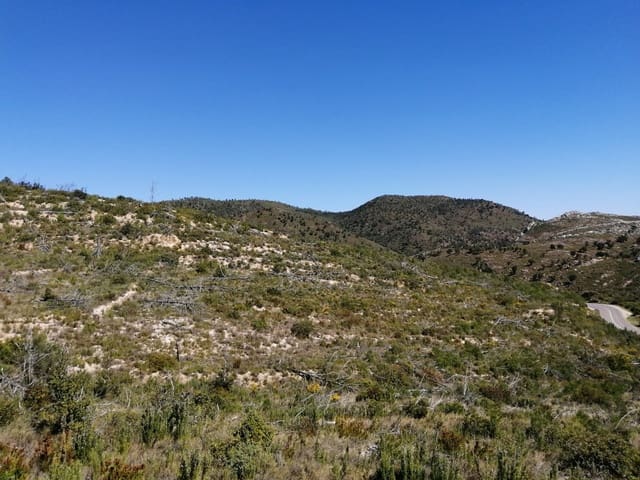 Finca/Casa di Campagna in vendita in Boadella i les Escaules - 12.000 € (Rif: 10073320)