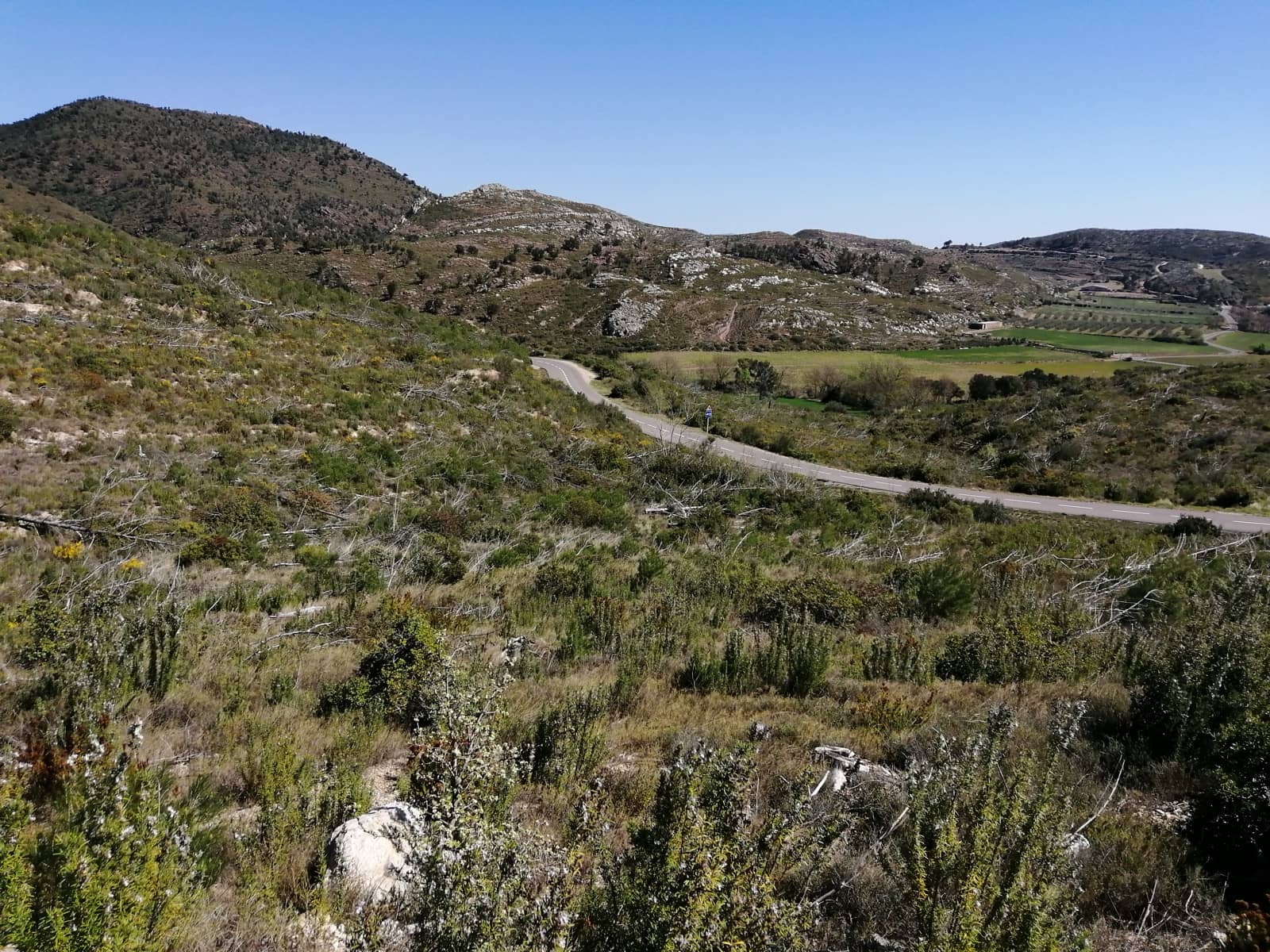 Finca/Casa di Campagna in vendita in Boadella i les Escaules - 12.000 € (Rif: 10073320)