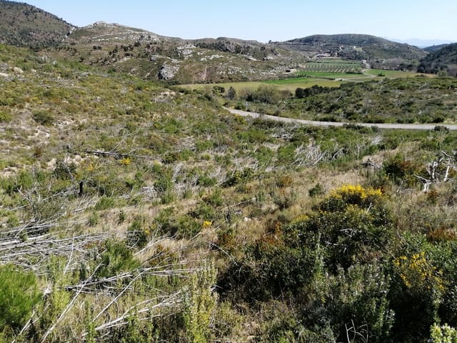 Finca/Casa di Campagna in vendita in Boadella i les Escaules - 12.000 € (Rif: 10073320)
