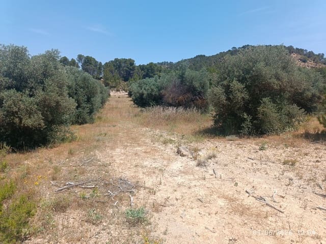 Finca/Landgut zu verkaufen in Requena - 12.000 € (Ref: 10073321)