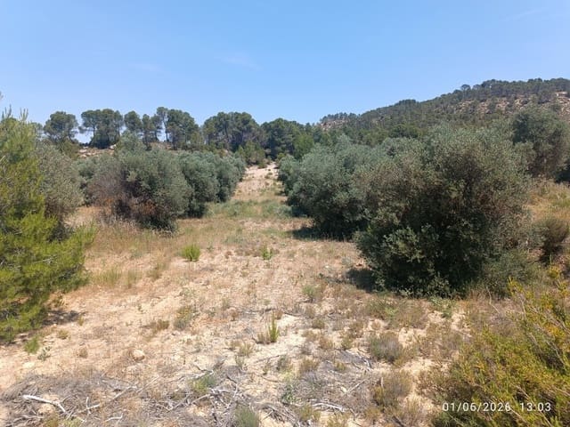 Finca/Landgut zu verkaufen in Requena - 12.000 € (Ref: 10073321)