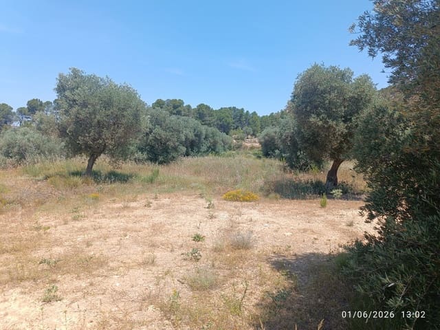 Finca/Landgut zu verkaufen in Requena - 12.000 € (Ref: 10073321)