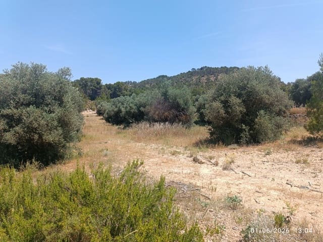 Finca/Landgut zu verkaufen in Requena - 12.000 € (Ref: 10073321)
