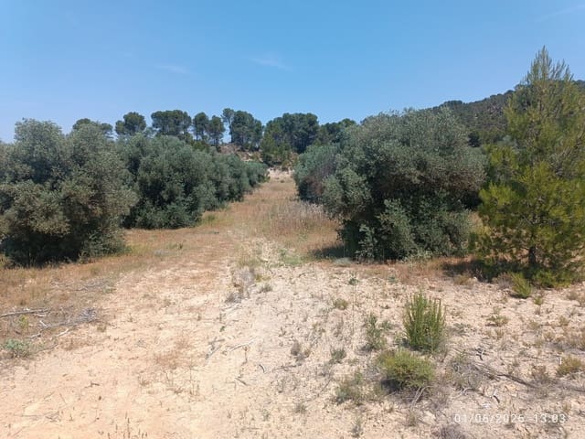 Finca/Landgut zu verkaufen in Requena - 12.000 € (Ref: 10073321)