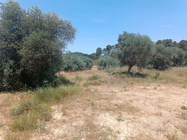 Finca/Landgut zu verkaufen in Requena - 12.000 € (Ref: 10073321)