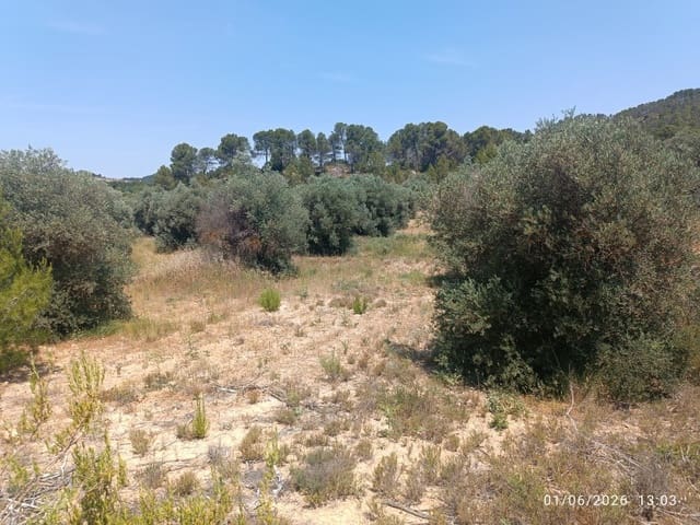 Finca/Landgut zu verkaufen in Requena - 12.000 € (Ref: 10073321)