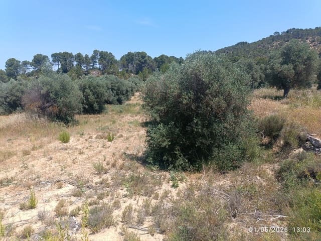 Finca/Landgut zu verkaufen in Requena - 12.000 € (Ref: 10073321)