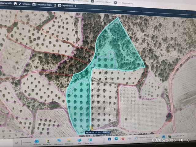 Finca/Landgut zu verkaufen in Requena - 12.000 € (Ref: 10073321)