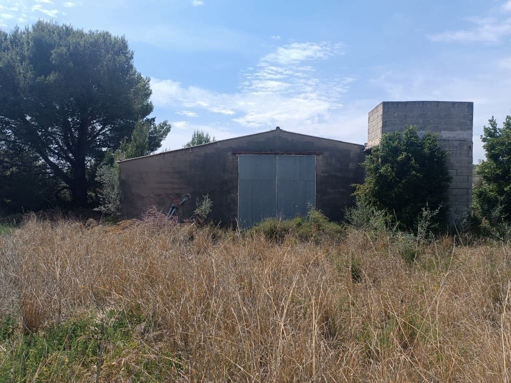 Quinta/Casa Rural para venda em Canet lo Roig - 62 000 € (Ref: 10074776)