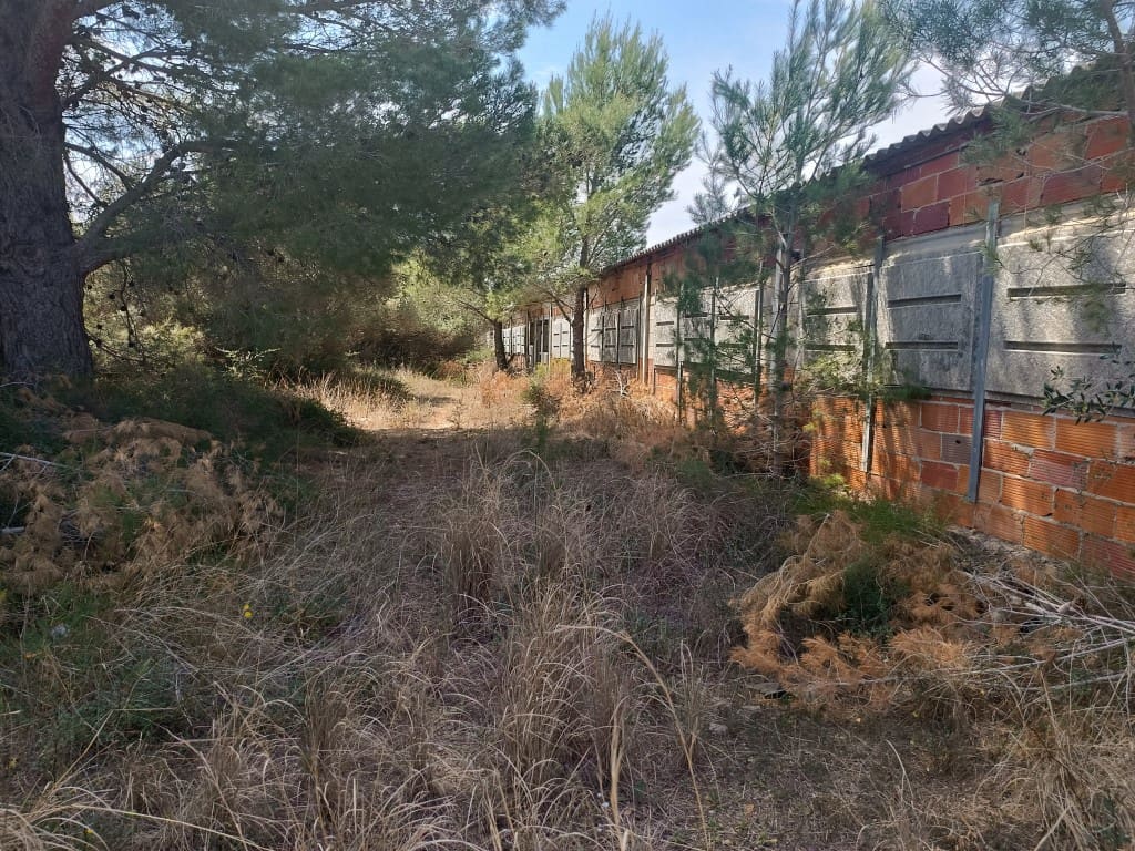 Quinta/Casa Rural para venda em Canet lo Roig - 62 000 € (Ref: 10074776)