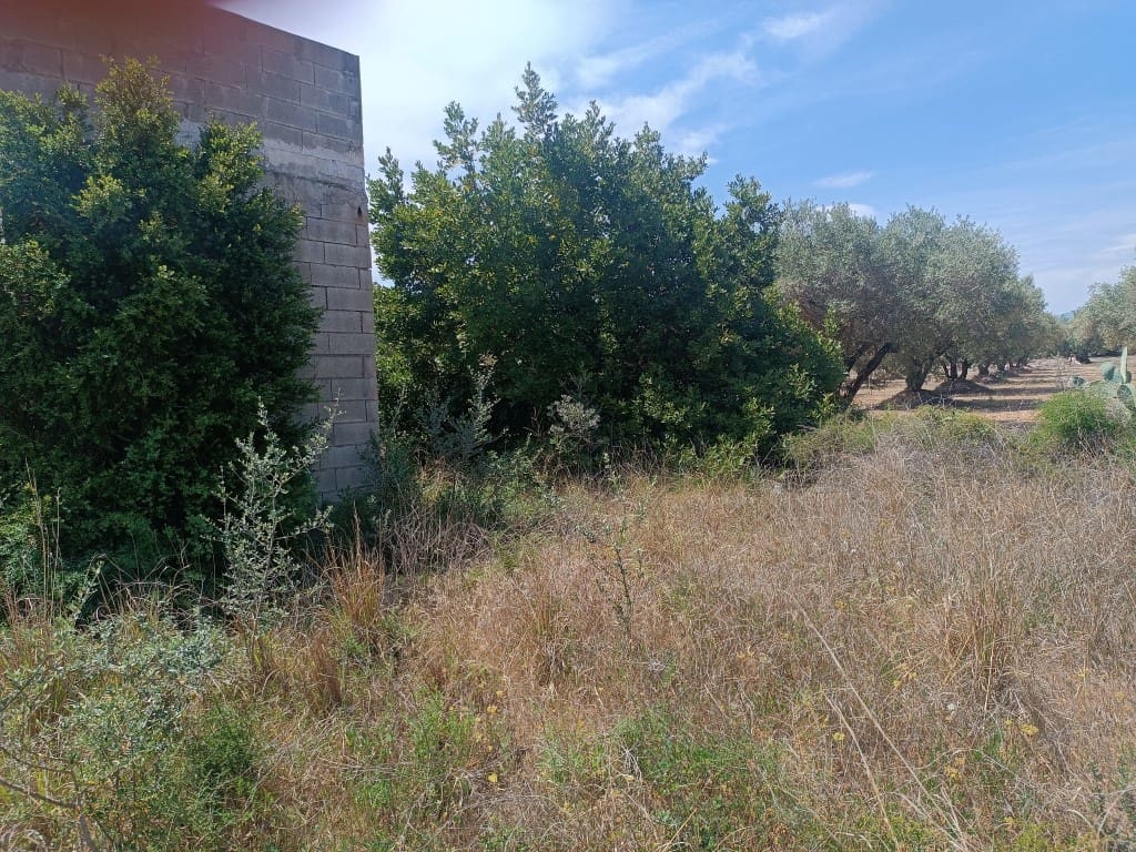 Quinta/Casa Rural para venda em Canet lo Roig - 62 000 € (Ref: 10074776)