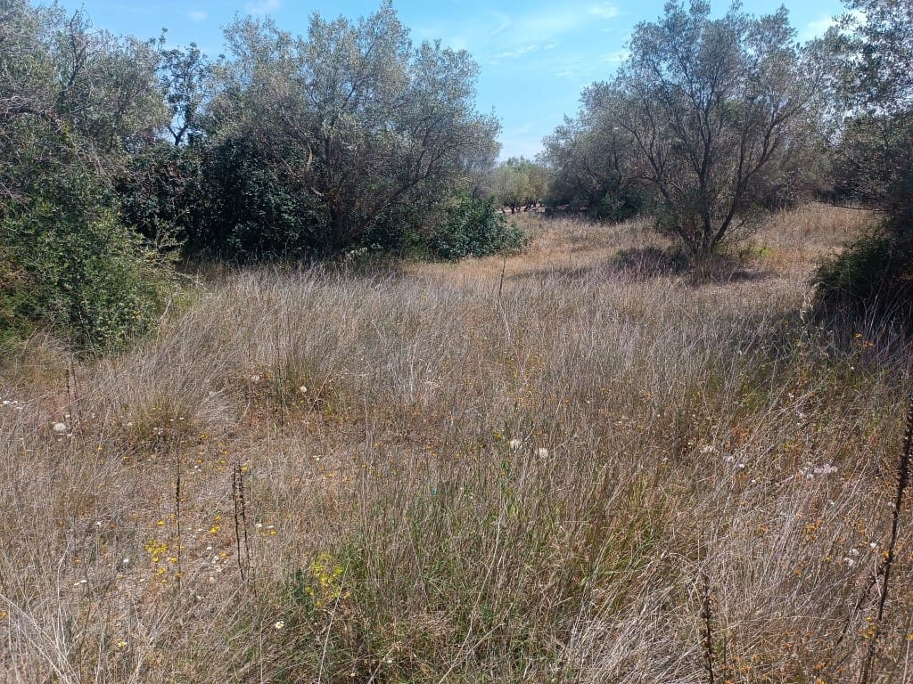 Quinta/Casa Rural para venda em Canet lo Roig - 62 000 € (Ref: 10074776)
