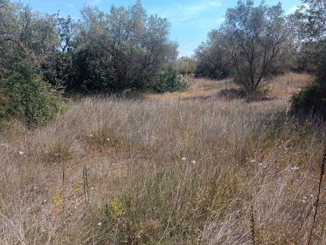 Maalaistalo myytävänä paikassa Canet lo Roig - 62 000 € (Ref: 10074776)