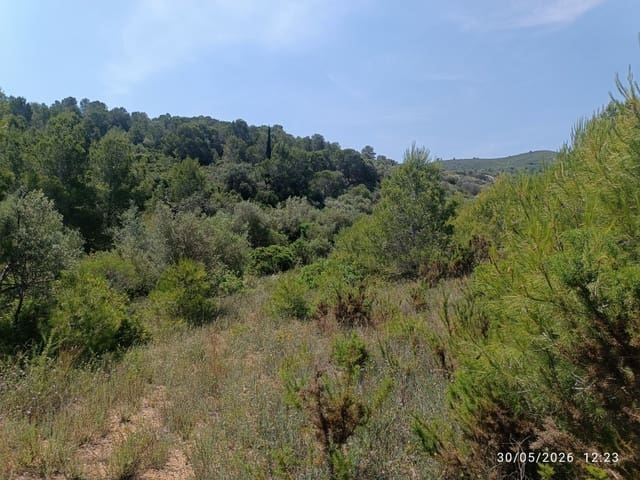 Finka/Dom wiejski na sprzedaż w Amposta - 14 000 € (Ref: 10074779)