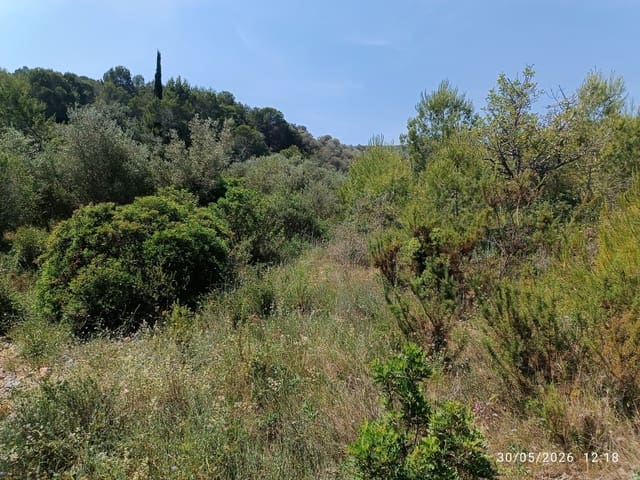 Finka/Dom wiejski na sprzedaż w Amposta - 14 000 € (Ref: 10074779)