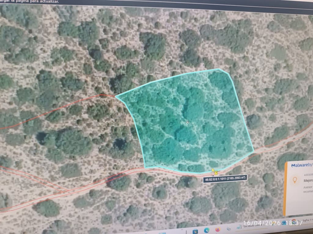 Finca/Hus på landet till salu i Alatoz - 9 999 € (Ref: 10074780)