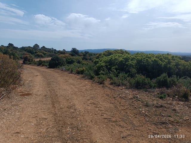 Finca/Herregård til salgs i Alatoz - € 9 999 (Ref: 10074780)