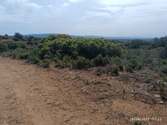 Finca/Herregård til salgs i Alatoz - € 9 999 (Ref: 10074780)