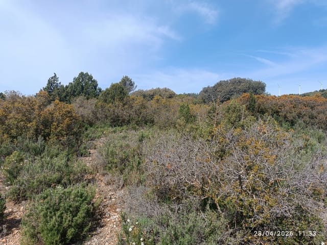 Finca/Herregård til salgs i Alatoz - € 9 999 (Ref: 10074780)