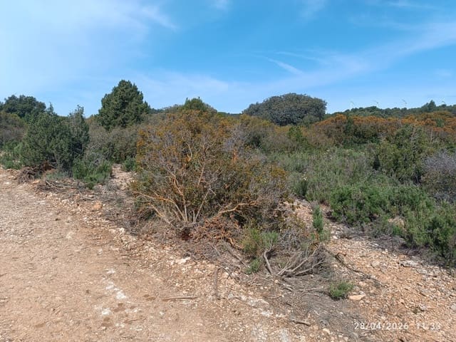 Finca/Herregård til salgs i Alatoz - € 9 999 (Ref: 10074780)