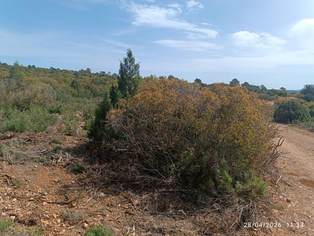Finca/Herregård til salgs i Alatoz - € 9 999 (Ref: 10074780)