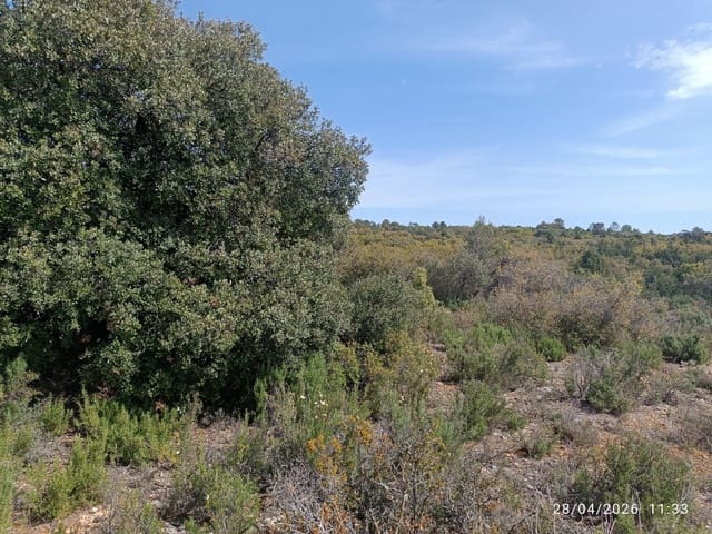 Finca/Herregård til salgs i Alatoz - € 9 999 (Ref: 10074780)