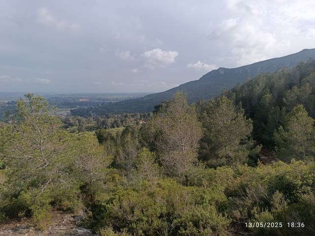 Quinta/Casa Rural para venda em Valls - 20 000 € (Ref: 10075622)