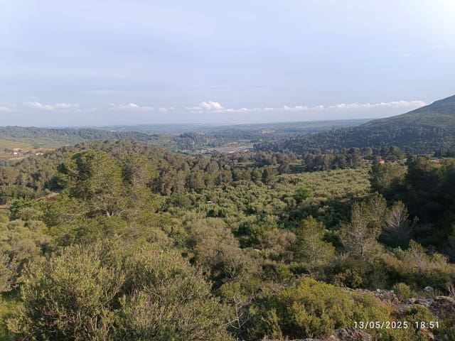 Quinta/Casa Rural para venda em Valls - 20 000 € (Ref: 10075622)