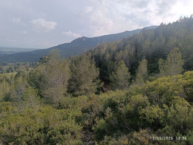 Quinta/Casa Rural para venda em Valls - 20 000 € (Ref: 10075622)