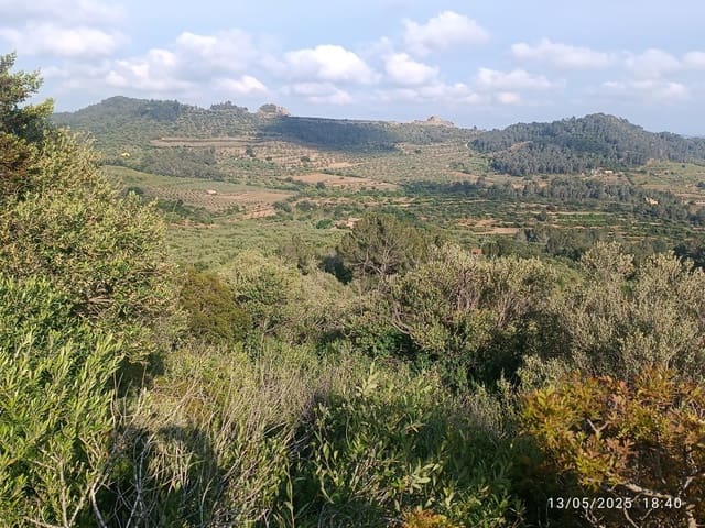 Quinta/Casa Rural para venda em Valls - 20 000 € (Ref: 10075622)