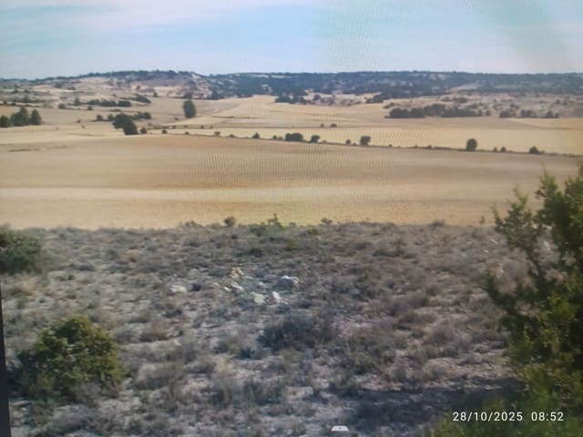 Finca/Landehus til salg i San Esteban de Gormaz - € 5.000 (Ref: 10078294)