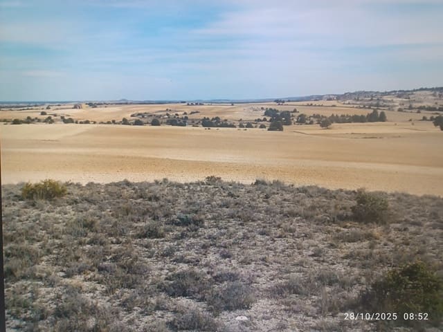 Finca/Landehus til salg i San Esteban de Gormaz - € 5.000 (Ref: 10078294)
